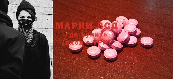 крисы Гатчина