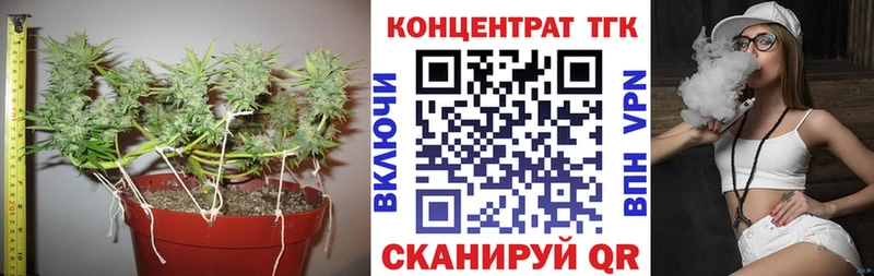 ТГК вейп  наркотики  Сасово 
